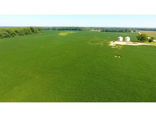 Property photo 11 - LAND AUCTION - 1,193+/- ACRES IN 14 TRACTS IN PIKE & GIBSON COUNTY, INDIANA